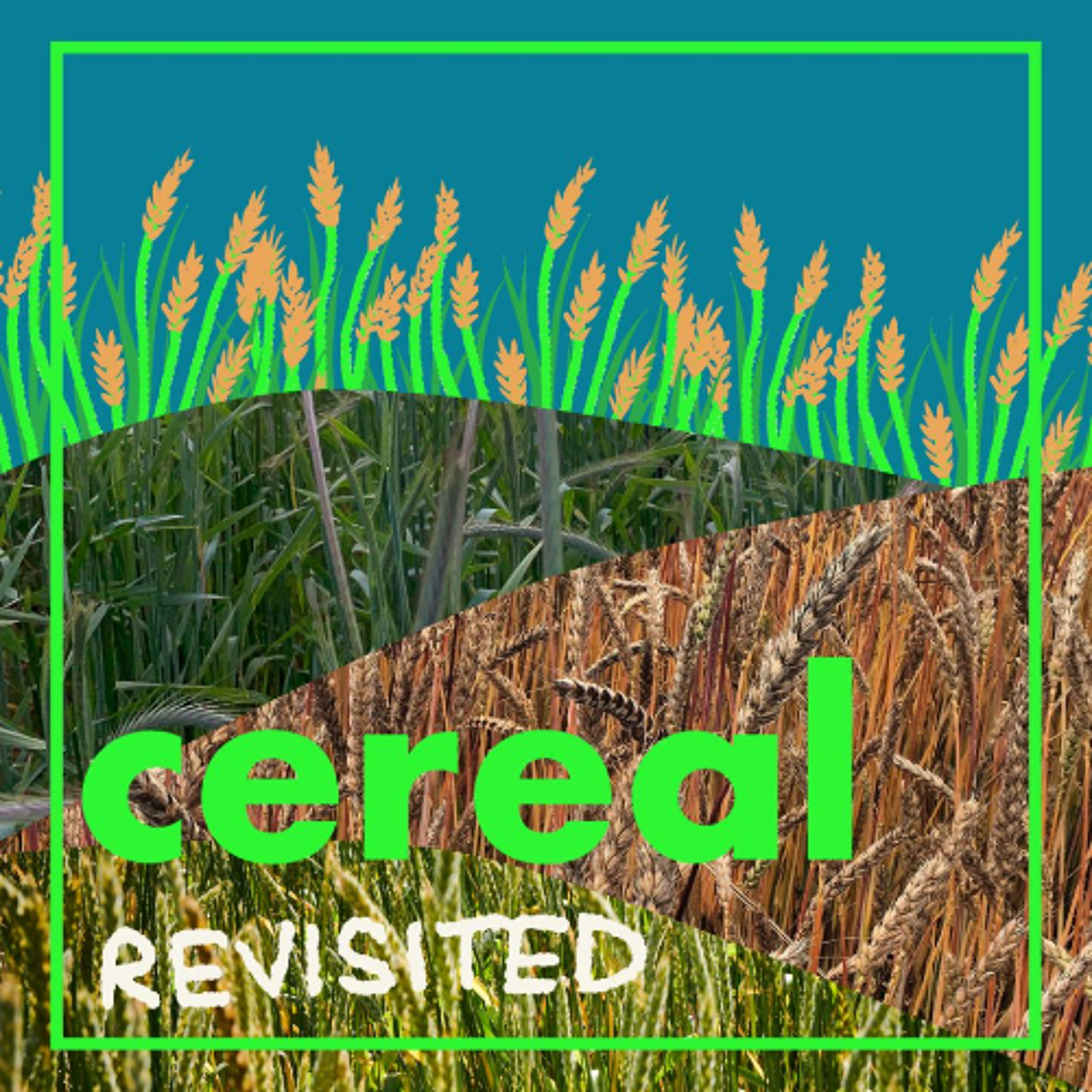 Cereal Revisited