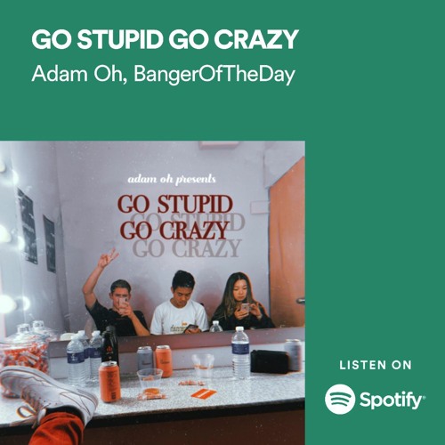 GO STUPID GO CRAZY (Clean Version)