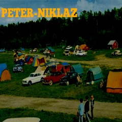 Mitt Hjärtas Fröjd - Peter-Niklaz