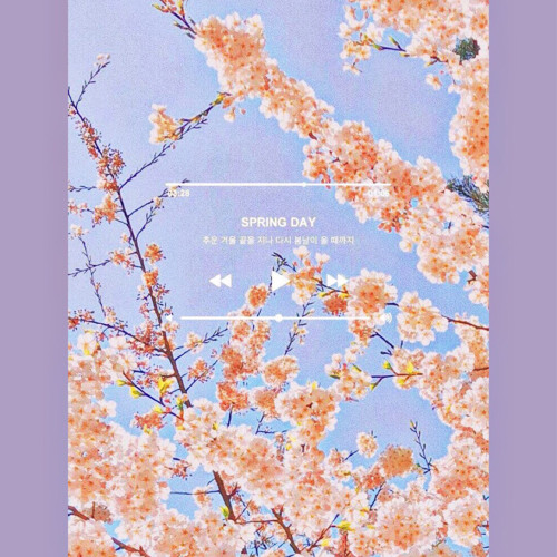 Stream Spring Day - BTS Cover By Alin Shin(커버리스트) ♡ by  abcdefg_ijklmnopqrs__vwxyz | Listen online for free on SoundCloud