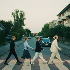 Hele Vejen (feat. Maluda, Ferdinand, bare Benja & Pju)