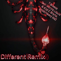 Different_Remix