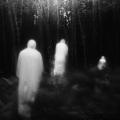 disappearing (p. greyrock/foreless)