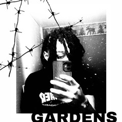 DRACULA prod. gardens+