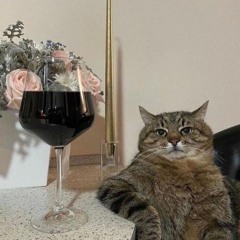 CAT WITH WINE [CLIP]