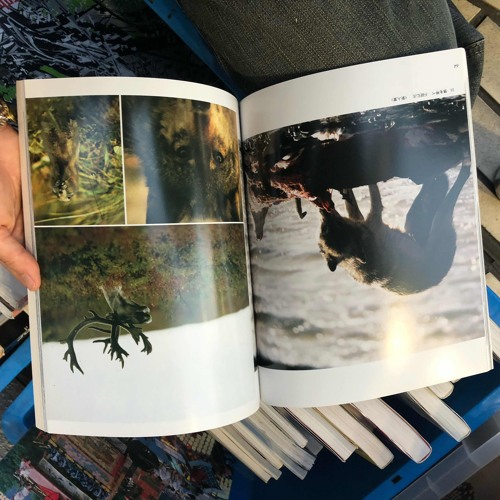 本当は、本当は、本当は。