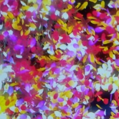 갤럭시는 촌스럽대