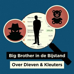 Big Brother In De Bijstand - Over dieven & kleuters