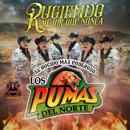 Stream Me Gusta la Buena Vida by Los Pumas del Norte | Listen online for  free on SoundCloud