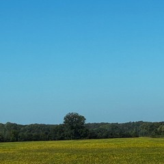 in the meantime (prod. egs)