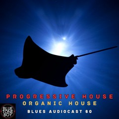 Blues Audiocast 60 ~ #ProgressiveHouse - #OrganicHouse Mix