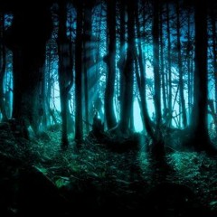 Psytrance: Dark forest