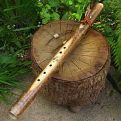 Sycamore Branch Flute in Bass D 432Hz