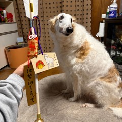 jane remover & kmoe - champ (rework)