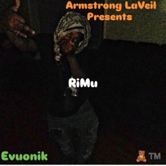 Evuonik XX RiMu