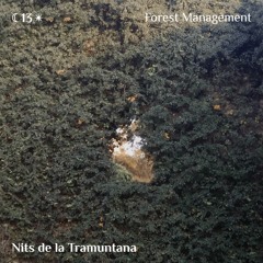 Nits de la Tramuntana #13 w/ Forest Management