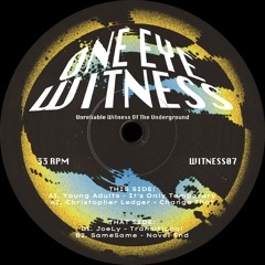Young Adults ─ It's Only Temporary [WITNESS07]