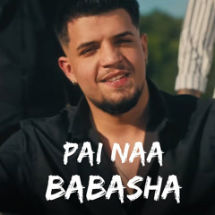 Babasha - Păi Naa