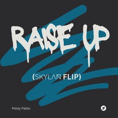 Petey Pablo - RAISE UP (SKYLAN Flip)