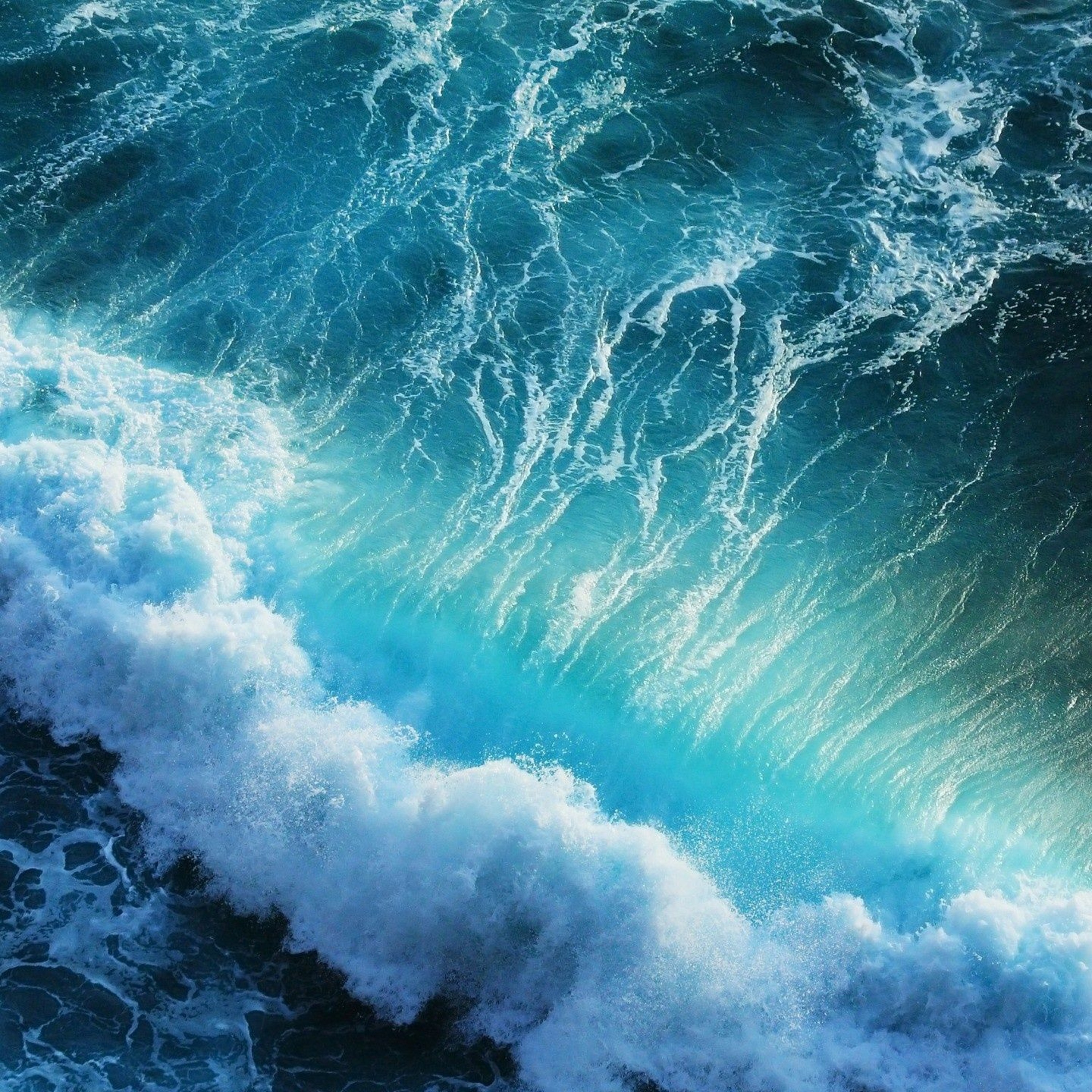 cover of episode Your Entrance Into Greater Reality