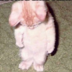 Mac Demarco - For The First Time (Audio Edit)