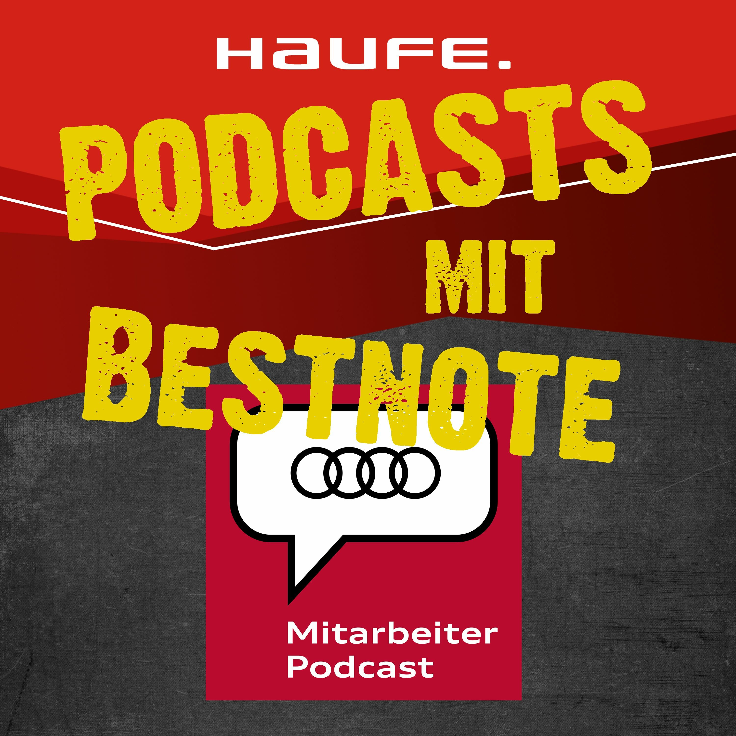 Doris Hammerschmidt - Das Podcast-Buch