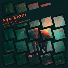 Coming soon: Jared Austin - Ayo Elani (Housemeisters Remix)