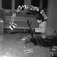 Live @ 47 Katzen – Kater Blau