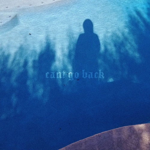 backyard beetle - cant go back (prod. heydium)