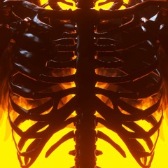 day n nite (free dl)