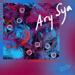 AM011 - Ary Sya - Lucid Water (Chambord Remix)