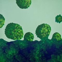 Verdant Session 20_3 for Timeline Music