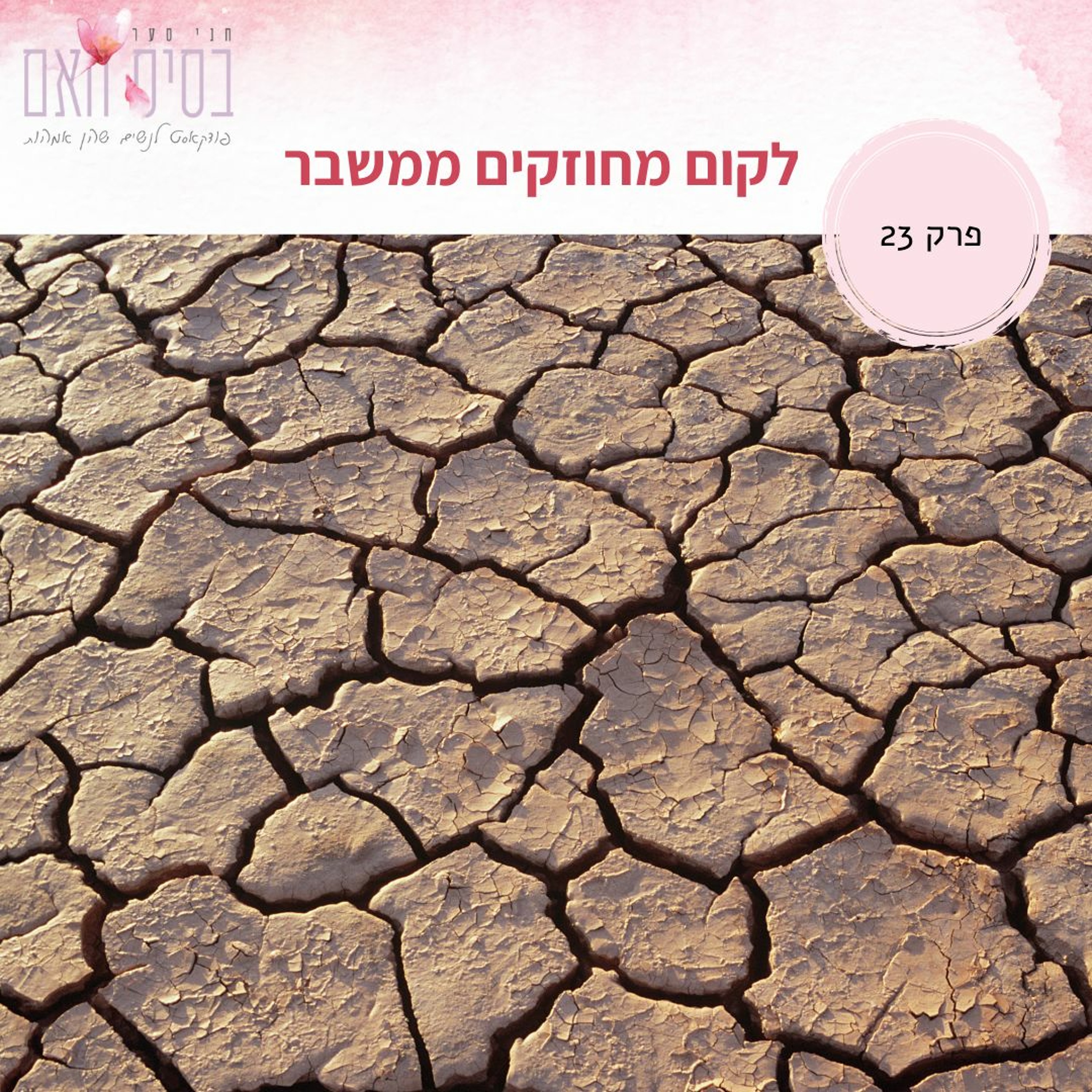 בסיס האם 23- לקום מחוזקים ממשבר