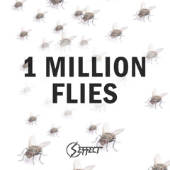 [FREE] S Effect - 1 Million Flies (Official Soundcloud Edit)