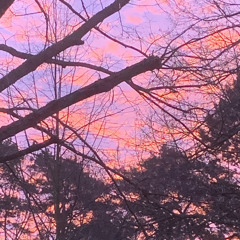 Narben (Prod. by Jody)