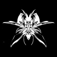 Bougainville - Out There [Free Download]