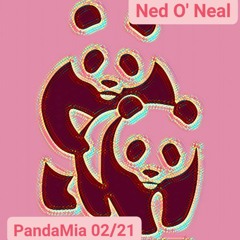 Ned O`Neal - PandaMia 02/21