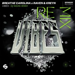 Breathe Carolina X Raven & Kreyn - Vibes (daniel castaño Remix)