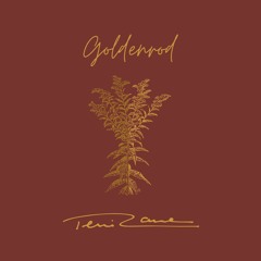 Goldenrod