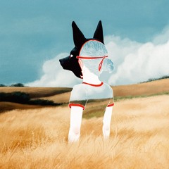 bodhi x white lotus. (2014)