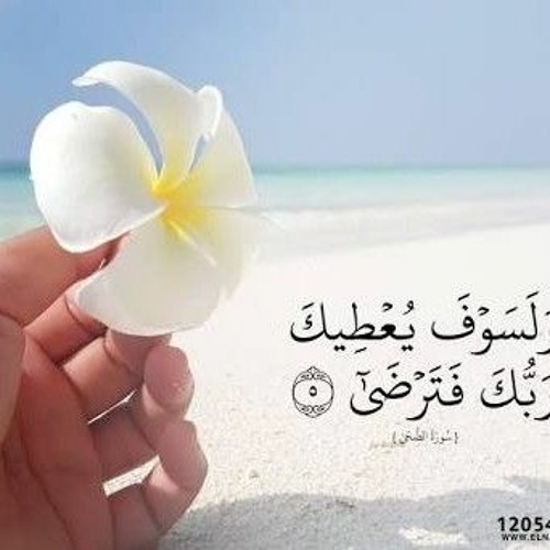 سورة الأنبياء - " ماهر المعيقلى "
