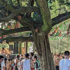 Boomtown 2022 DJ Set - Tribe of Frog