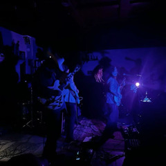 Cat in My Attic (Live at The Zenner House)
