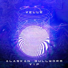 VELLE - Alaskan Bullworm VIP