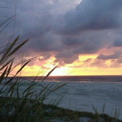 things we can't explain