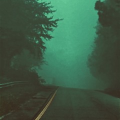Traveler