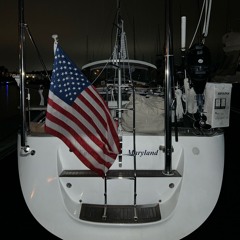 Cybernetic Desert Slut