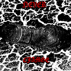 [ HVN XCLUSIVE ] DDOPEMAN + REPENT - NEVER CHANGE