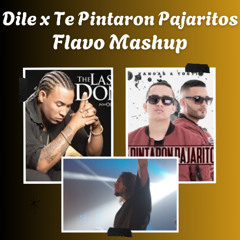 DILE x TE PINTARON PAJARITOS (FLAVO FREE MASHUP)