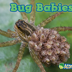 [ACCESS] EPUB 🎯 Bug Babies (Animal Babies) by  Catherine Veitch [KINDLE PDF EBOOK EP